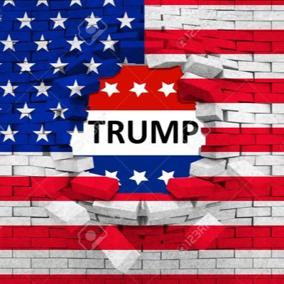 Huge trump supporter, Christian, back the blue, loving husband and I love my 8 cockatiels. seeking many patriots to follow.