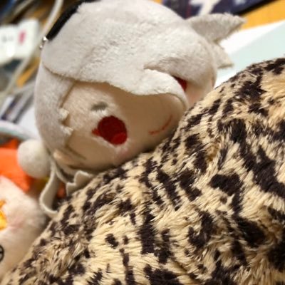 秋乃さんのプロフィール画像