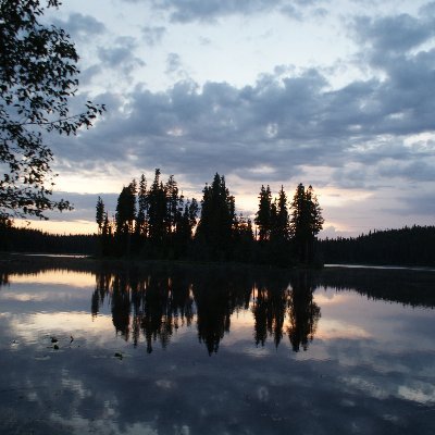 Rockyringo9's profile picture. 