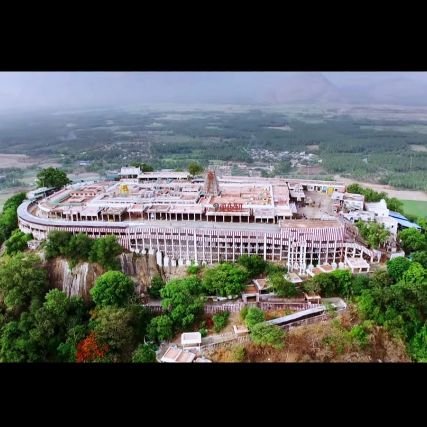 Official Twitter page of Arulmigu Dhandayuthapani Swami Temple Palani.