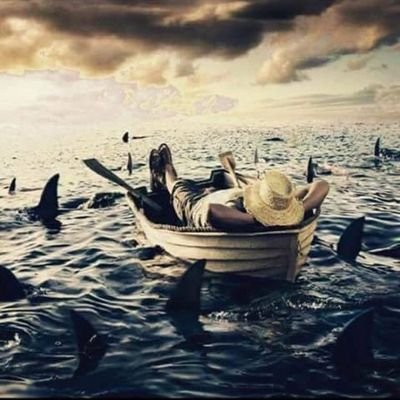 Srivatz_13's profile picture. amigos por siempre 👥🙂
Let's talk cricket 🇮🇳🏏