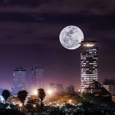 ROBERT42088921's profile picture. life is what you make it