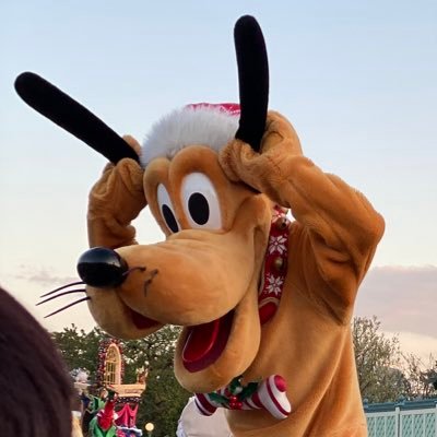 にんじん🤟🏻さんのプロフィール画像