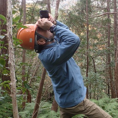 nishikawa_sei1's profile picture. 山林歩き業務（森林整備調査業務）しています