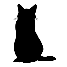 iwebservice's profile picture. 