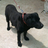 hiro_lifestyle's profile image