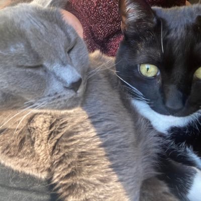 spookybitch999's profile picture. 