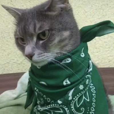 аня ПЕРЕЕХАЛАさんのプロフィール画像