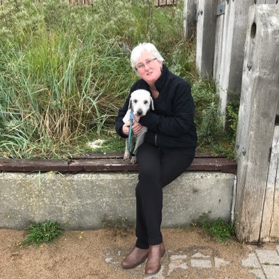 SharonH14792465's profile picture. 