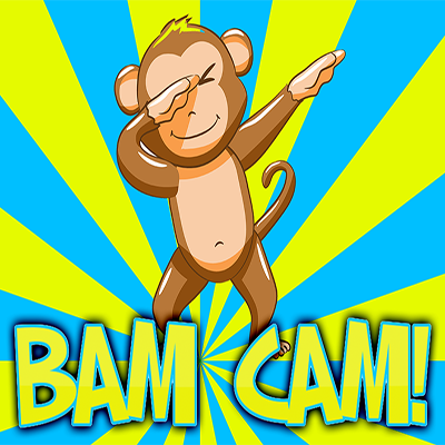 BamCamNA's profile picture. https://t.co/m4tgQWnCwT