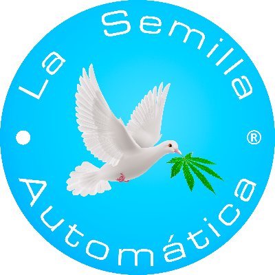 LSAutoOficial's profile picture. High Quality Seeds. Somos tu banco de semillas de confianza, llevamos más de una década trabajando para grandes empresas con nuestras semillas de colección.