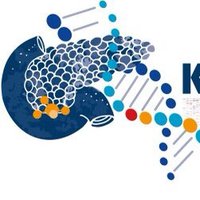 Clinical Research Unit 5002 at UMG (@kfo_5002) 's Twitter Profile