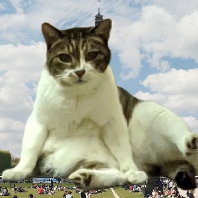 ライフアフターやってます。今は秋鯖のzoo。でお勉強中です。
1年以上のブランクはナイショ😂
前から下手くそだったのがよけいに下手くそになってます。
仕事が警備員(自宅警備員じゃないよ😤)なので夜勤のときもあるのでその時は余り絡めないかも
うちにゃんずのツィートもしていくので興味なかったらすみません