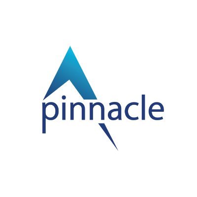 Pinnacle was founded by a passion to help businesses stabilise and grow. We adopt a flexible approach that enables us to find the right solutions to your needs
