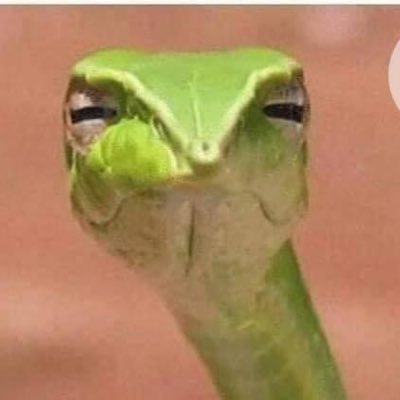 Solangert05's profile picture. 