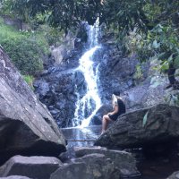 G. (@randomgreta) 's Twitter Profile