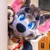 Let's go Aardventure (@aardwolfessex) Twitter profile photo Let's go Aardventure (@aardwolfessex) Twitter profile photo