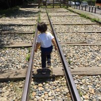 MIWA@自閉っ子子育て中 (@kotonababy) Twitter profile photo