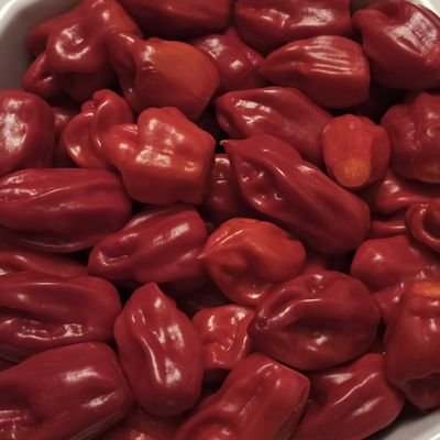 CRoessler3's profile picture. analytical smartass