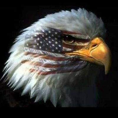 USAF veteran. Trump2024! - ProudPatriot! Say what I think! Life's a journey, enjoy! I stand with Trump and JD Vance! Like and follow if you do too!