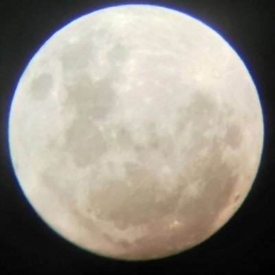 rhetorica9's profile picture. 