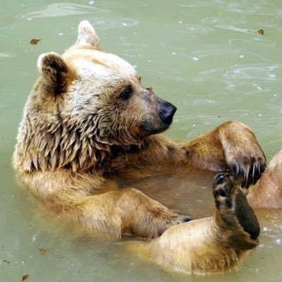 Howse__'s profile picture. Storm • He/him • 23 • cowboy