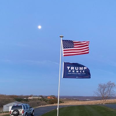 TjDucklo's profile picture. Taxation is theft.#BlueLivesMatter    Proud #TrumpChump