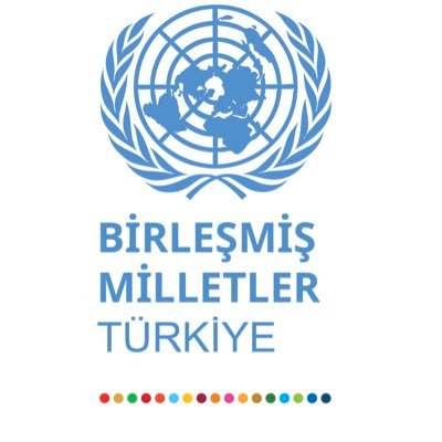 Birleşmiş Milletler Türkiye resmi Twitter hesabı —United Nations Türkiye official Twitter account