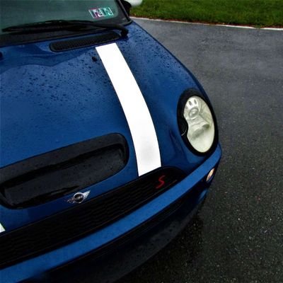 heisey_brandon's profile picture. 