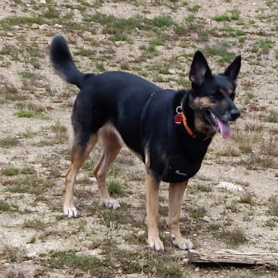 JaumetPatufet's profile picture. 