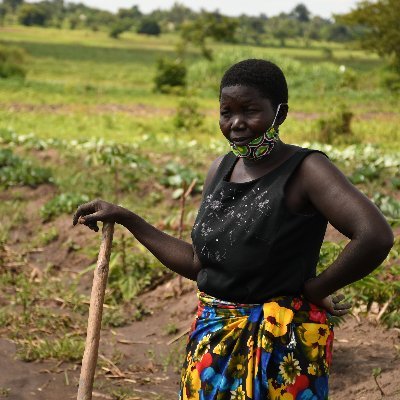 Building Resilience of wetland ecosystem and  communities