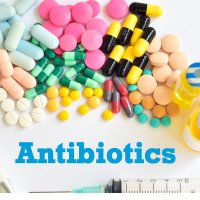 Antibiotics Conference 2021(@Antibioticmeet) 's Twitter Profile Photo