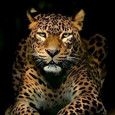 Yared88498707's profile picture. 