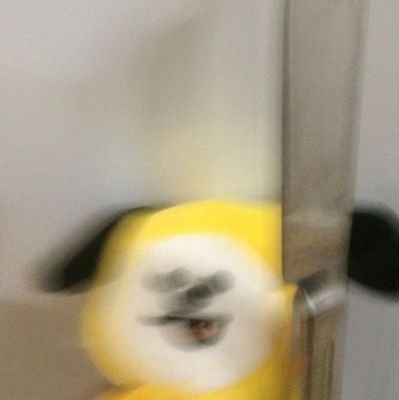 bluefinchv's profile picture. Back to Blue Side. She/Her.