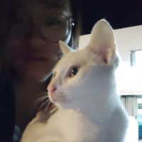 Yaping (@yaping51208690) 's Twitter Profile