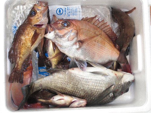 yukihuton's profile picture. 有限会社　涌喜寝具装飾店です。人生の３分の1はおふとんの中です！素敵なねむりをお手伝いさせていただくのお店です！http://t.co/AQFlp7WOyx