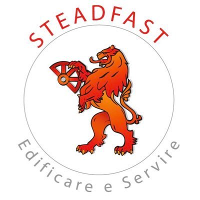 SteadfastNGO Profile Picture