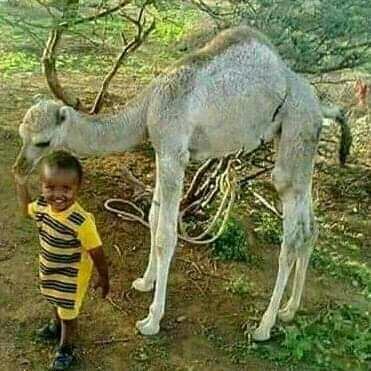 mohamedabey15's profile picture. 