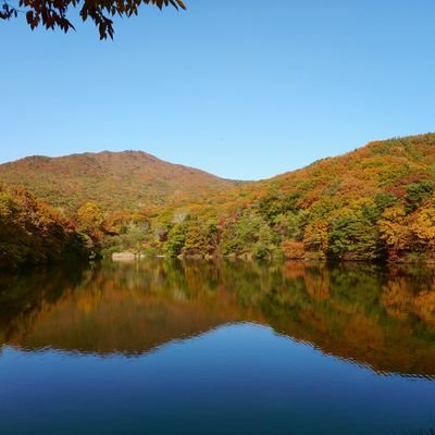 cast0913's profile picture. 