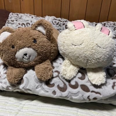 donburi_6587's profile picture. めっちゃ髪型三角形