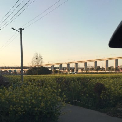 magnetization_'s profile picture. 0515