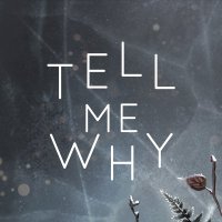 Tell Me Why: Chapter 2 no Steam