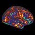 Dynamic Social Cognition Lab (@dsclab) Twitter profile photo Dynamic Social Cognition Lab (@dsclab) Twitter profile photo