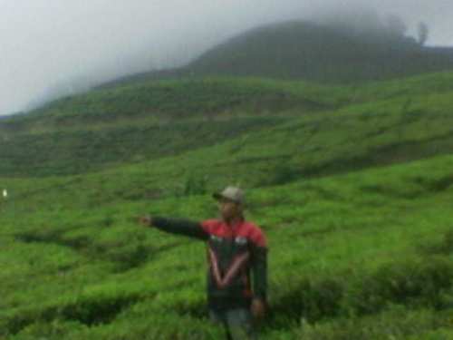 yosep_hscc's profile picture. 