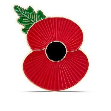 Littledene39's profile picture. Old git from the 'Shire. Cricket nut. Anti-Globalist. Govt, MSM & NHS are all bought and paid for. Prefers an immune system developed over millions of years.