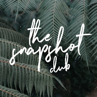 for the people that love to create and share what they capture... tag #thesnapshotclub to be featured 📸✨ • 💌 hello@thesnapshotclub.com