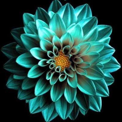 ‏‏‏‏‏‏‏سبحان الله وبحمده .. سبحان الله العظيم .. ولا حول ولا قوة إلا بالله العلي العظيم