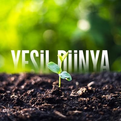 OrmuhYesilDunya's profile picture. Karbon Ayak İzini Azalt!