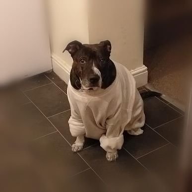 Fredrico_Smok's profile picture. I'm nothing new or unique
I'm just here :)