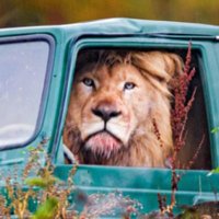 miffelplix (@miffelplix) 's Twitter Profile